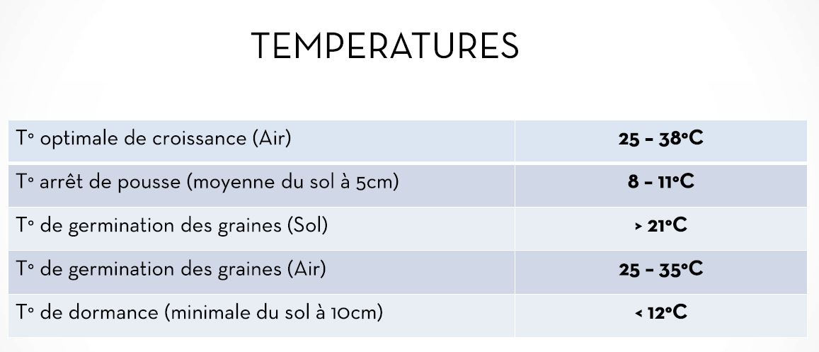 A quelle température pousse le gazon?